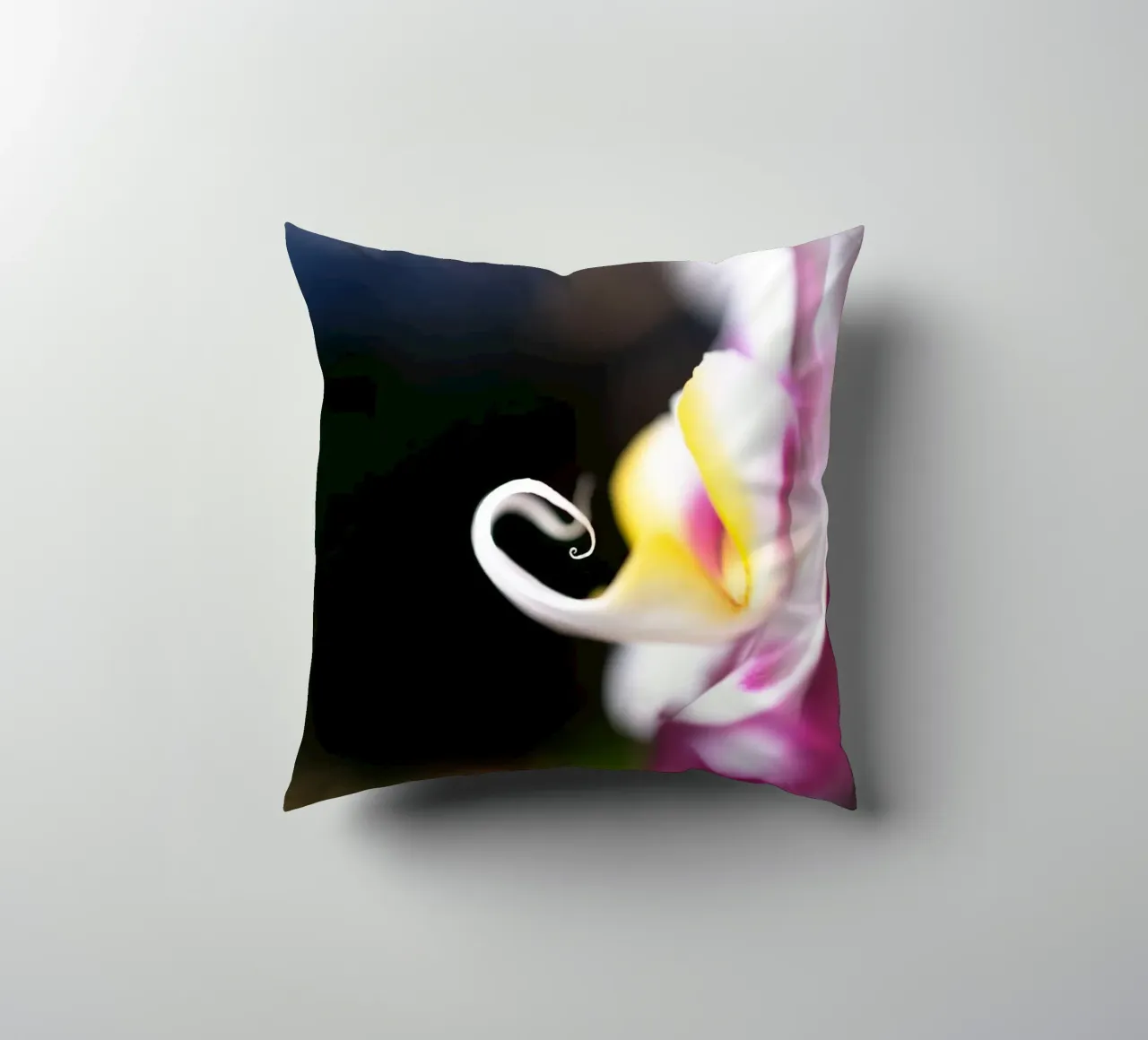 Orchidea #2 cuscino da rafael campezato