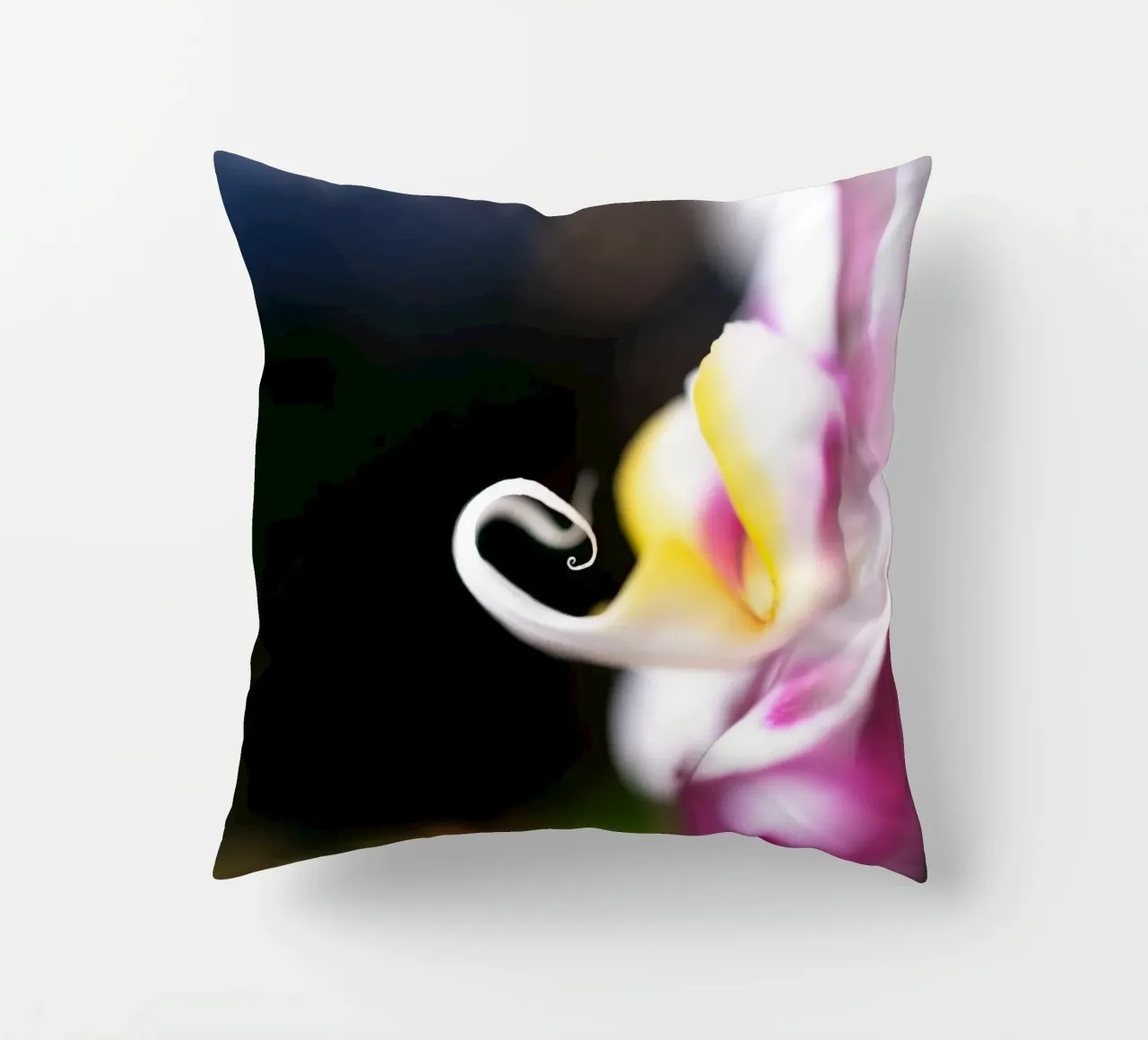 Orchidea #2 cuscino da rafael campezato