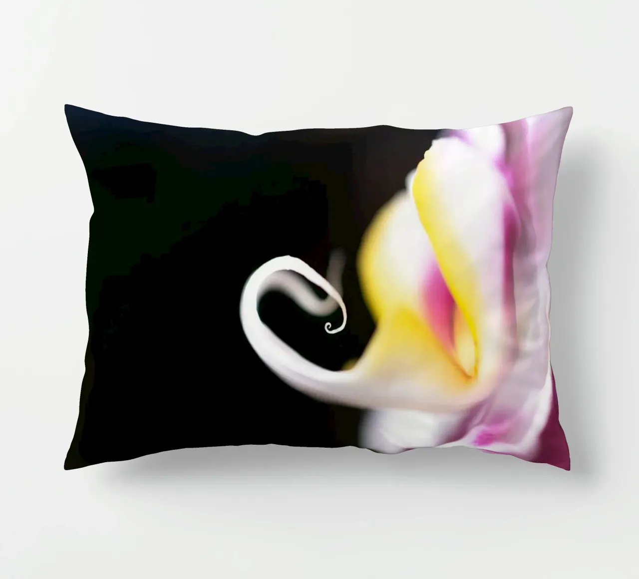 Orchidea #2 cuscino da rafael campezato