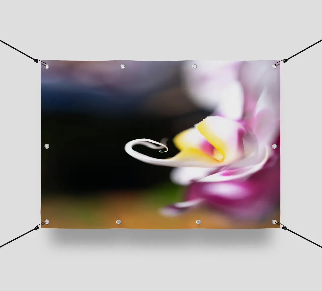 Orchidea #2 telo in pvc da rafael campezato