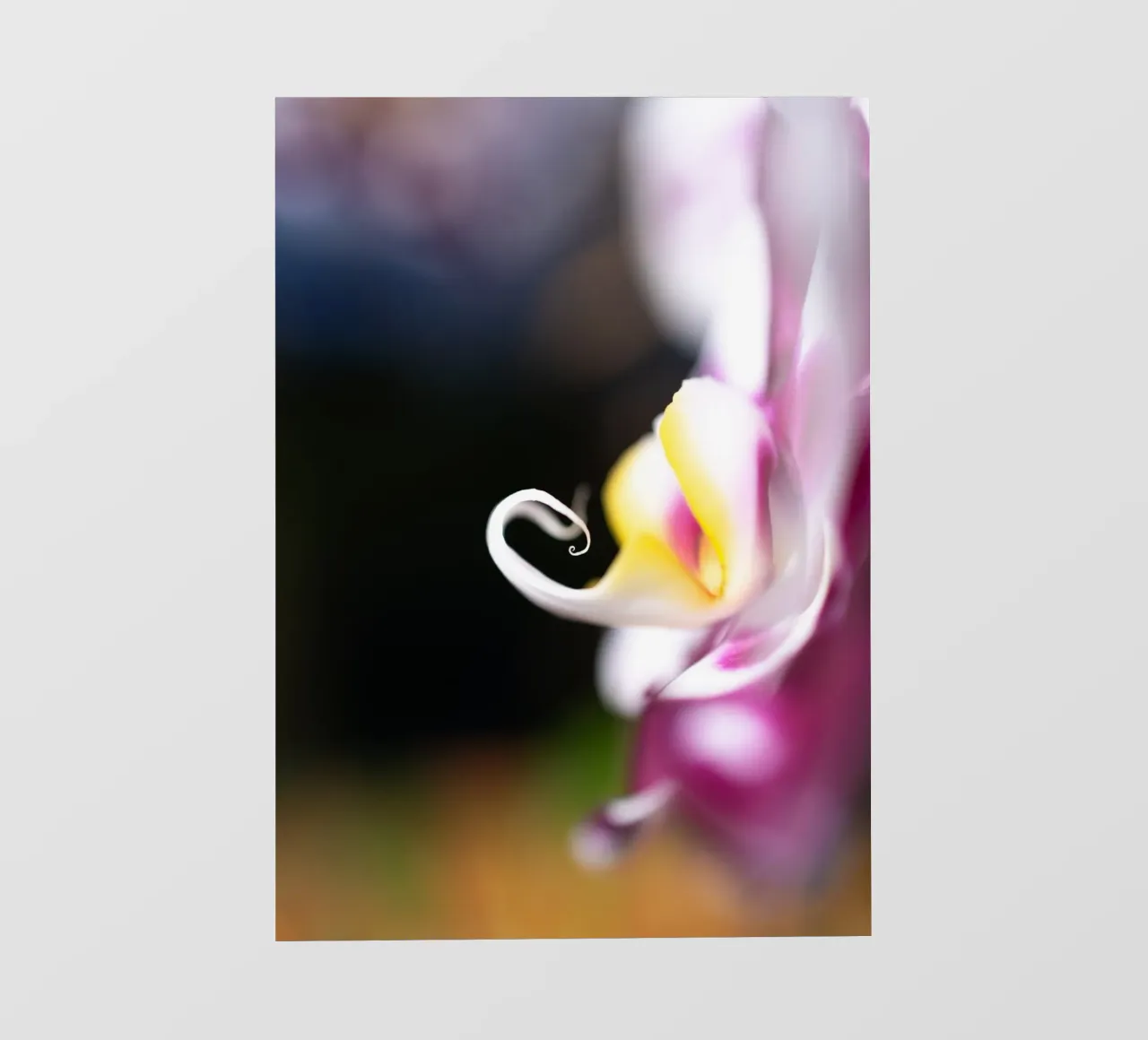 Orchidea #2 telo in pvc da rafael campezato