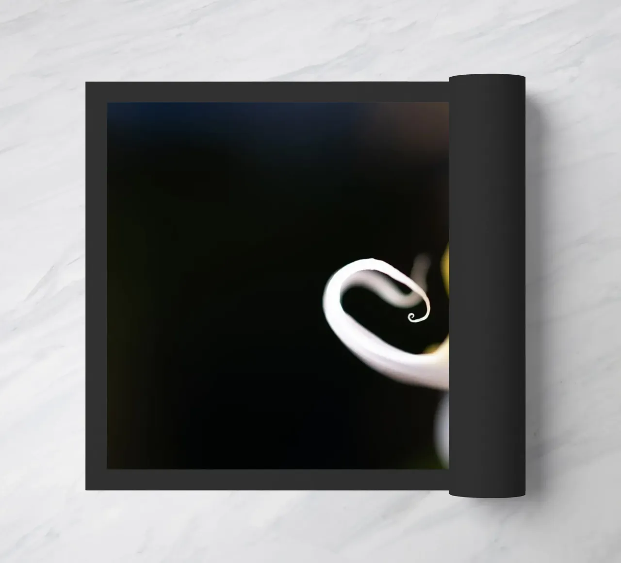 Orchidea #2 zerbino da rafael campezato