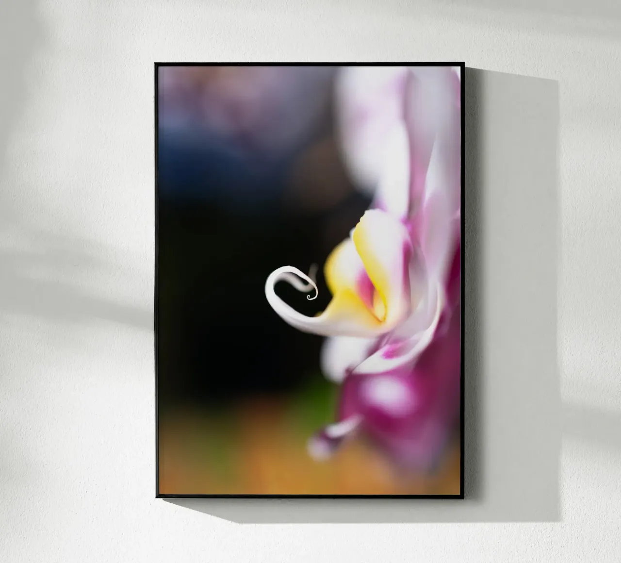 Orchidea #2 plexiglass da rafael campezato