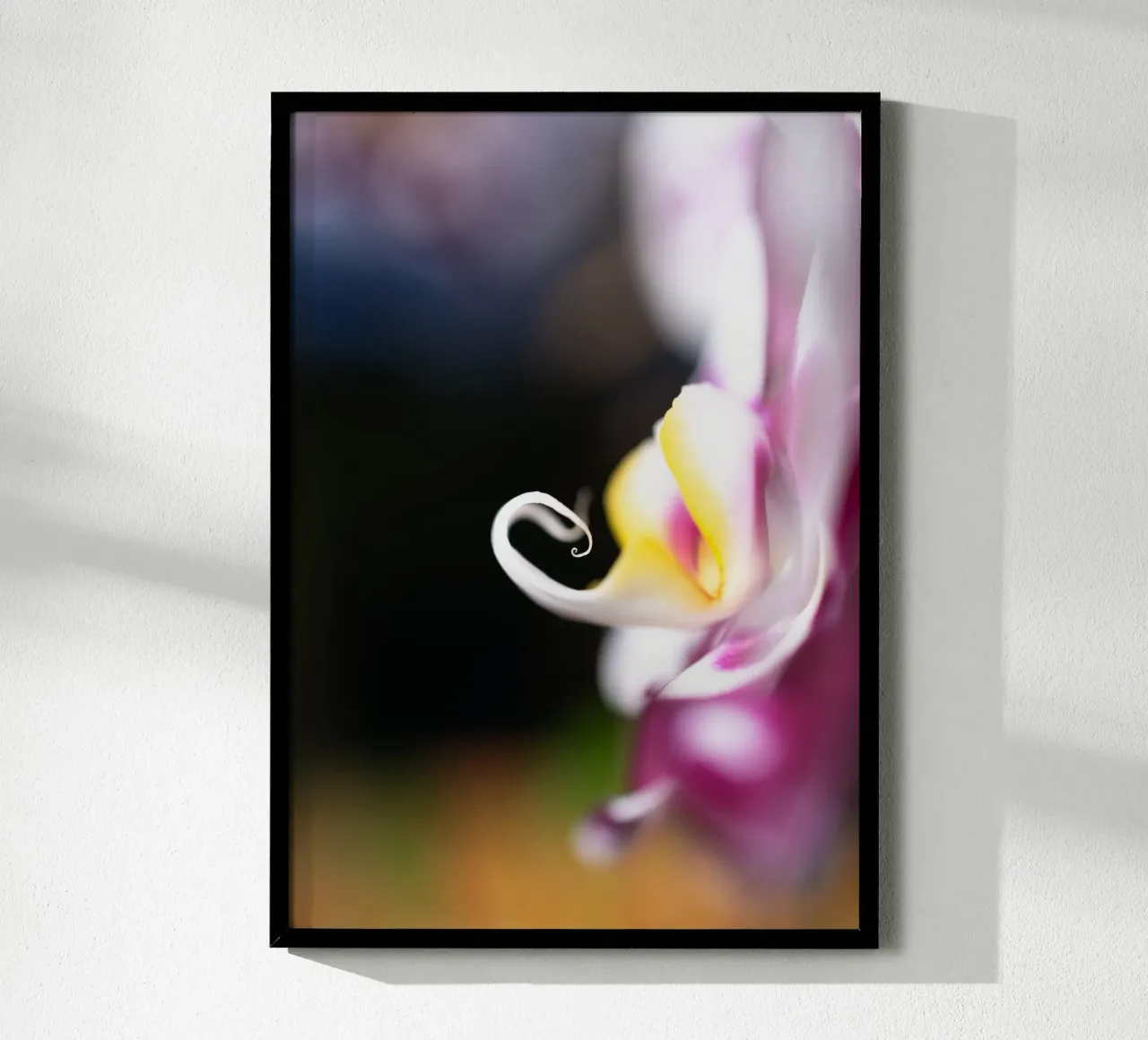 Orchidea #2 carta hahnemühle da rafael campezato