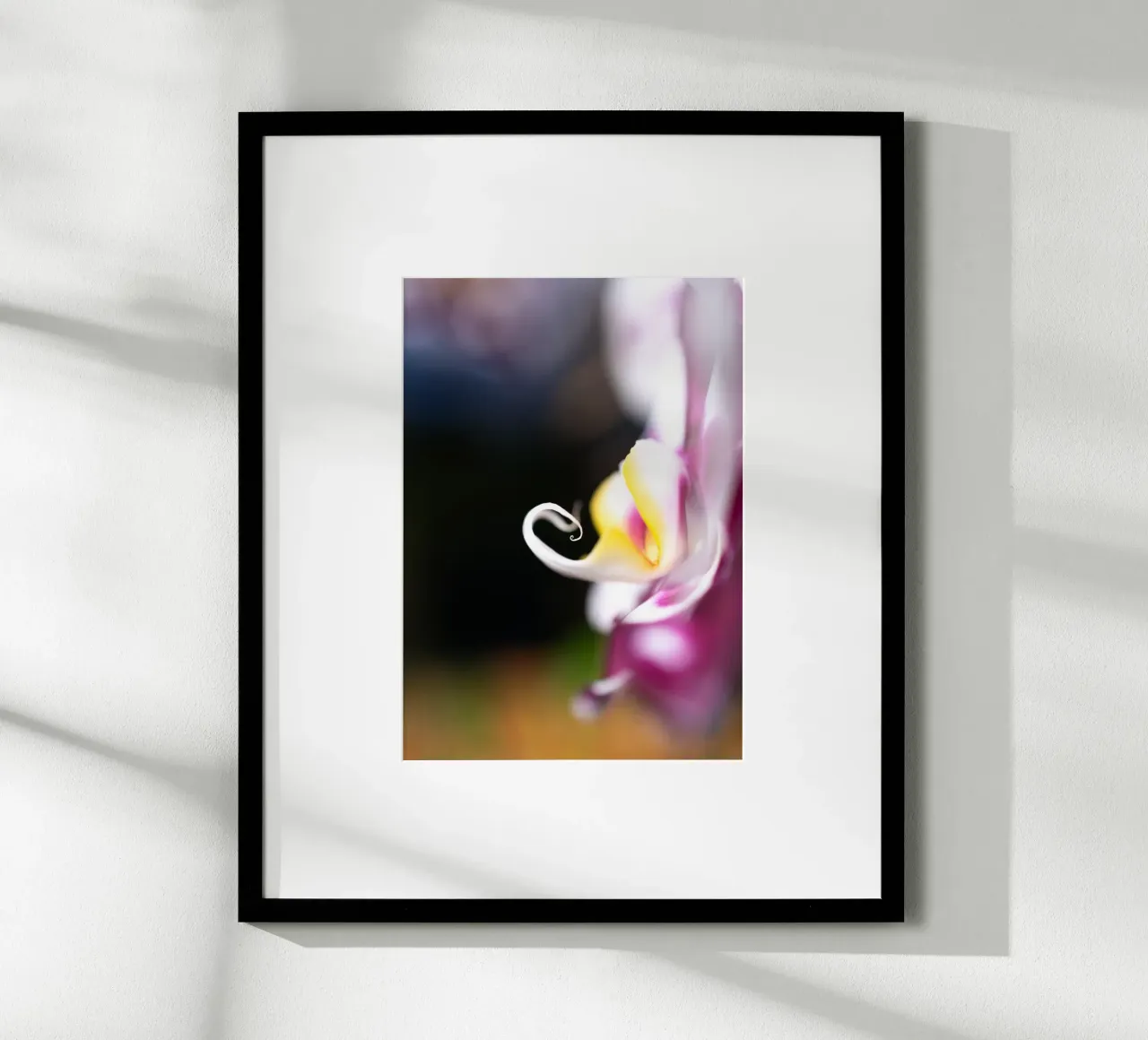 Orchidea #2 carta hahnemühle da rafael campezato