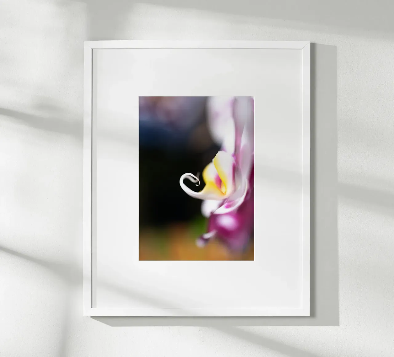 Orchidea #2 carta hahnemühle da rafael campezato