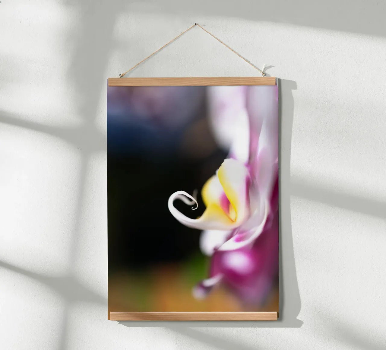 Orchidea #2 carta hahnemühle da rafael campezato