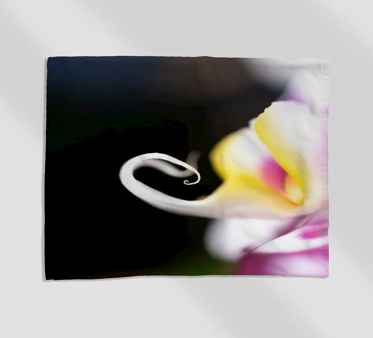 Orchidea #2 telo mare da rafael campezato