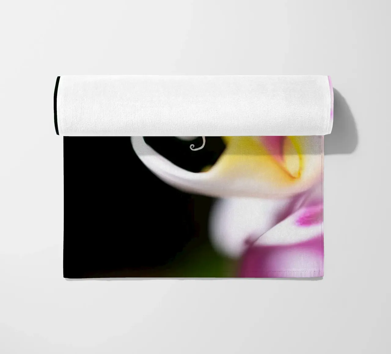 Orchidea #2 telo mare da rafael campezato