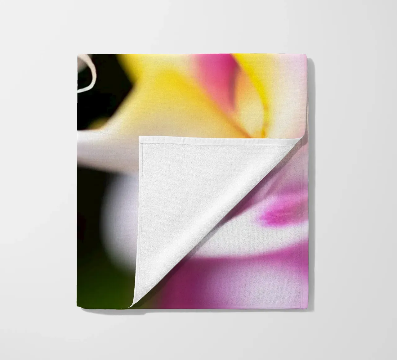 Orchidea #2 telo mare da rafael campezato