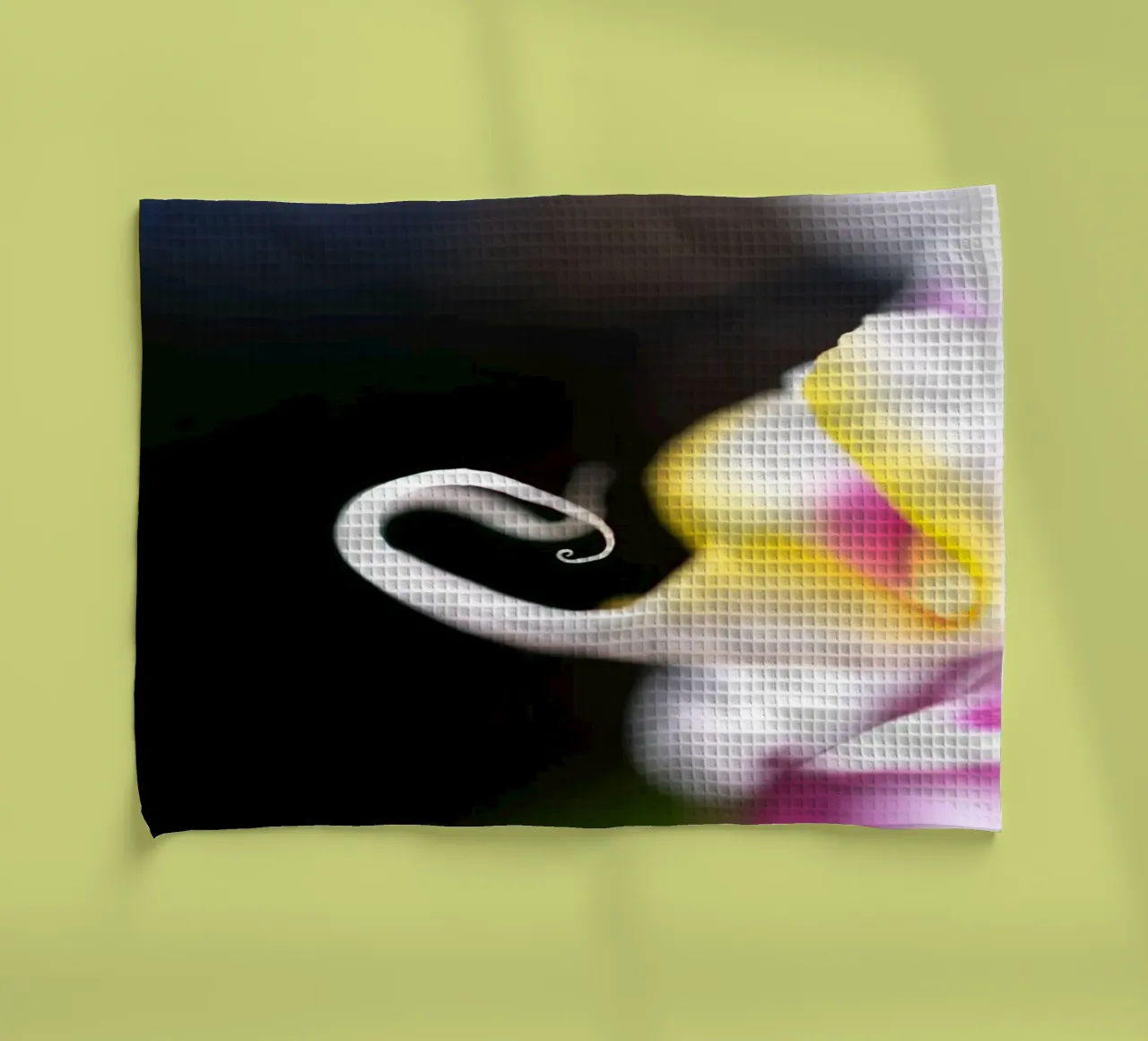 Orchidea #2 canovaccio da cucina da rafael campezato