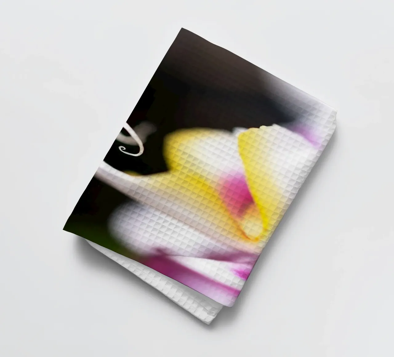 Orchidea #2 canovaccio da cucina da rafael campezato