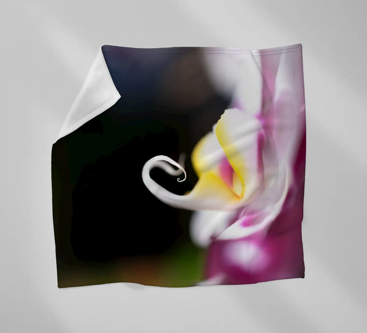 Orchidea #2 coperta in pile da rafael campezato