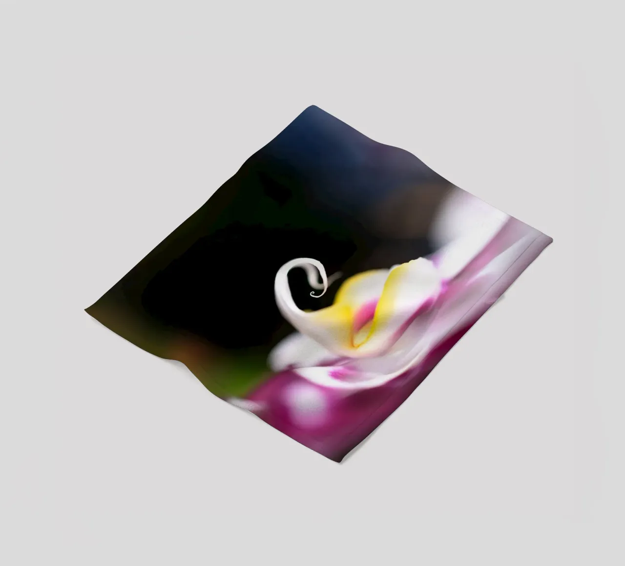 Orchidea #2 coperta in pile da rafael campezato