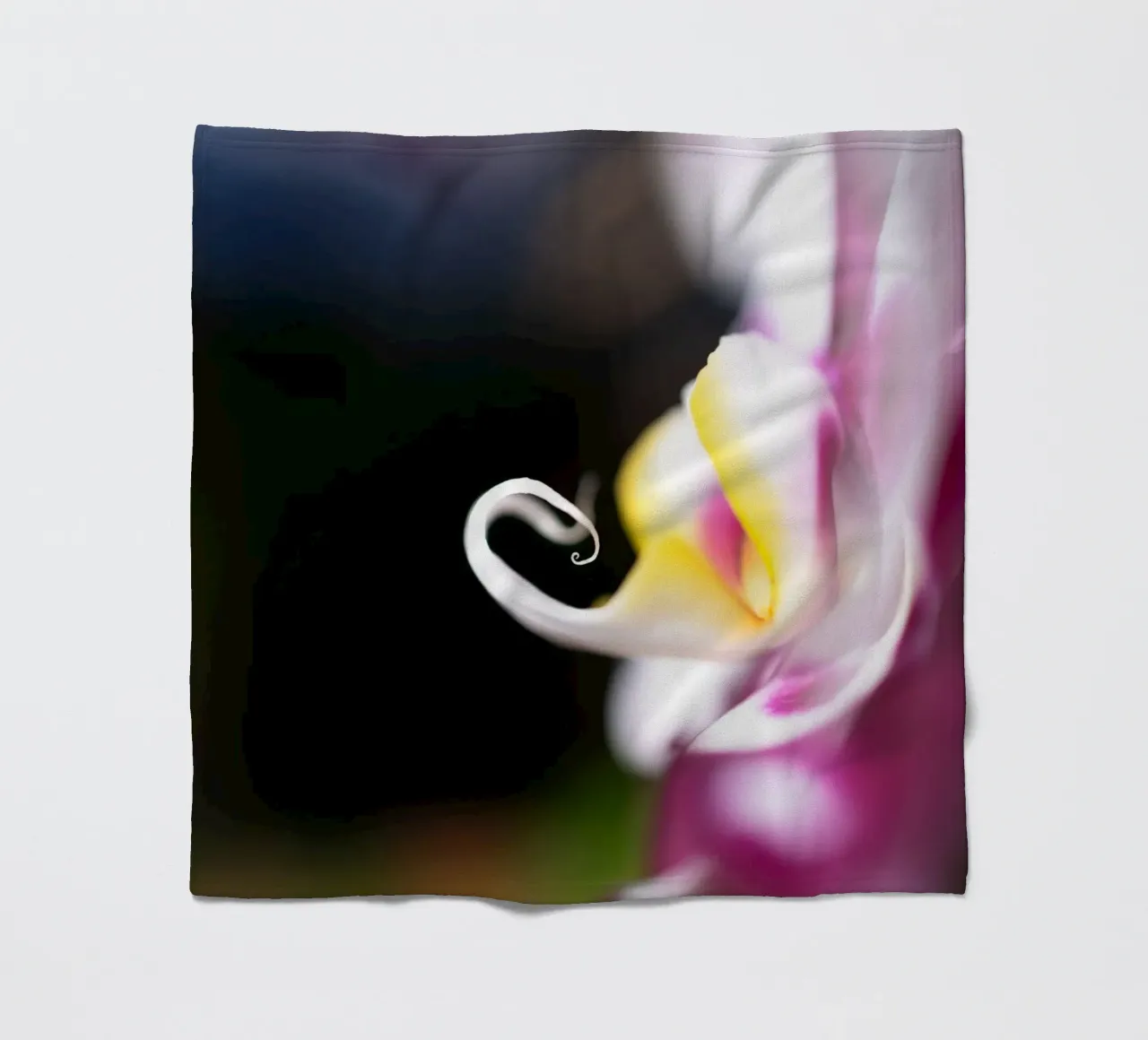 Orchidea #2 coperta in pile da rafael campezato