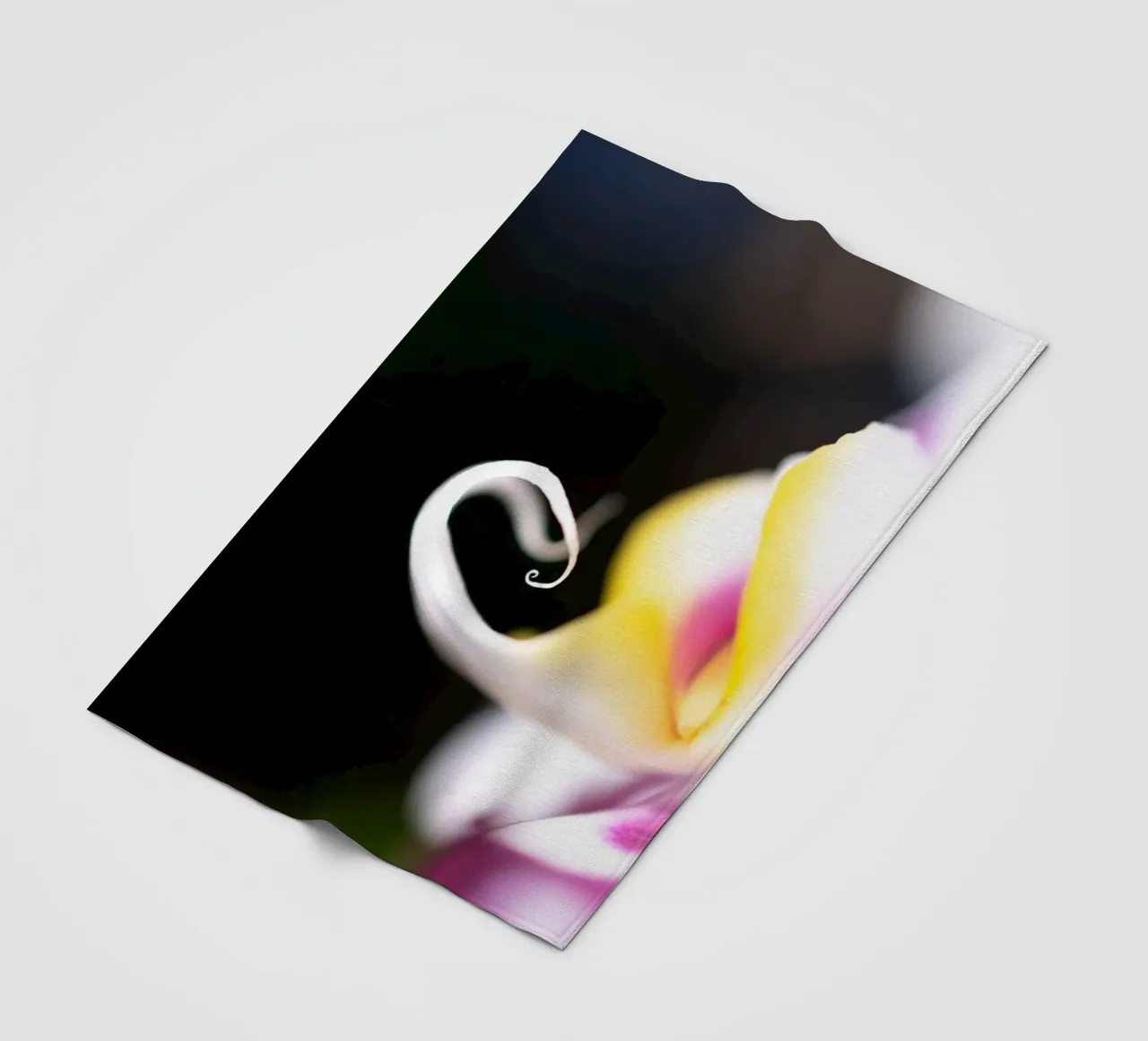 Orchidea #2 coperta in pile da rafael campezato