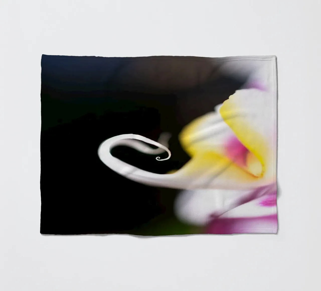 Orchidea #2 coperta in pile da rafael campezato