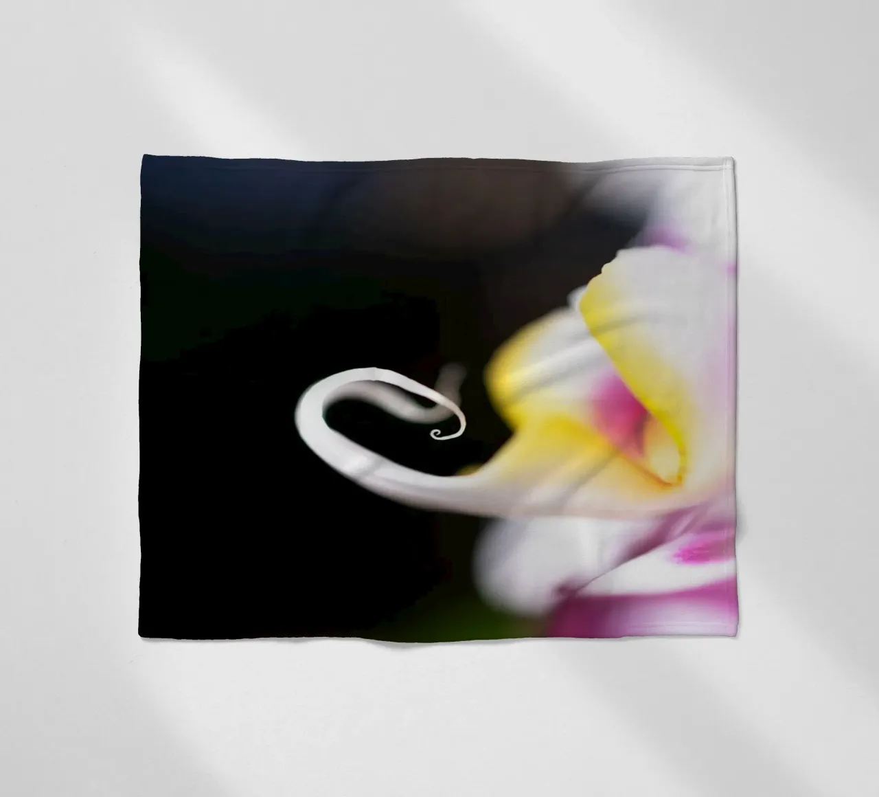 Orchidea #2 coperta in pile da rafael campezato