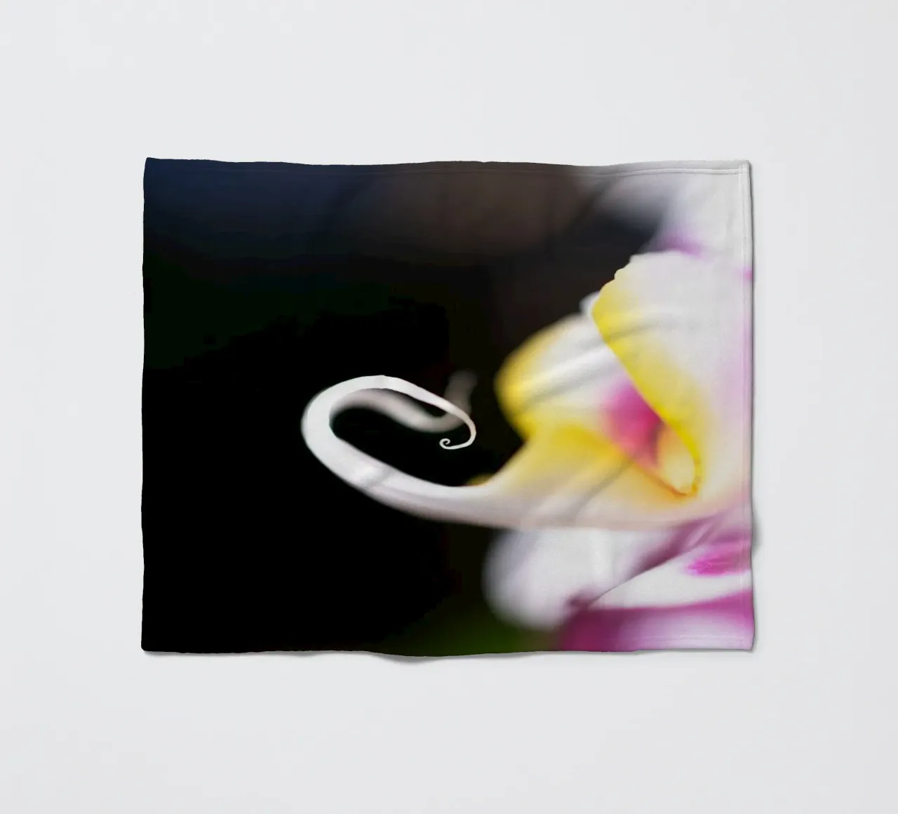 Orchidea #2 coperta in pile da rafael campezato