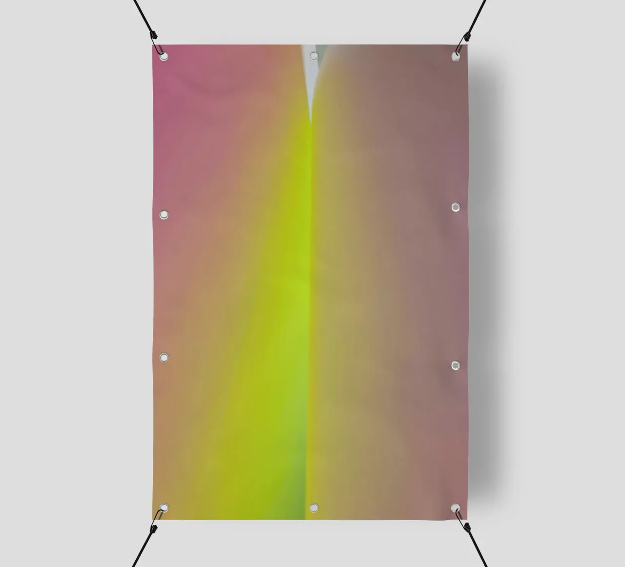 Ganymede telo in pvc da Elena Veronese