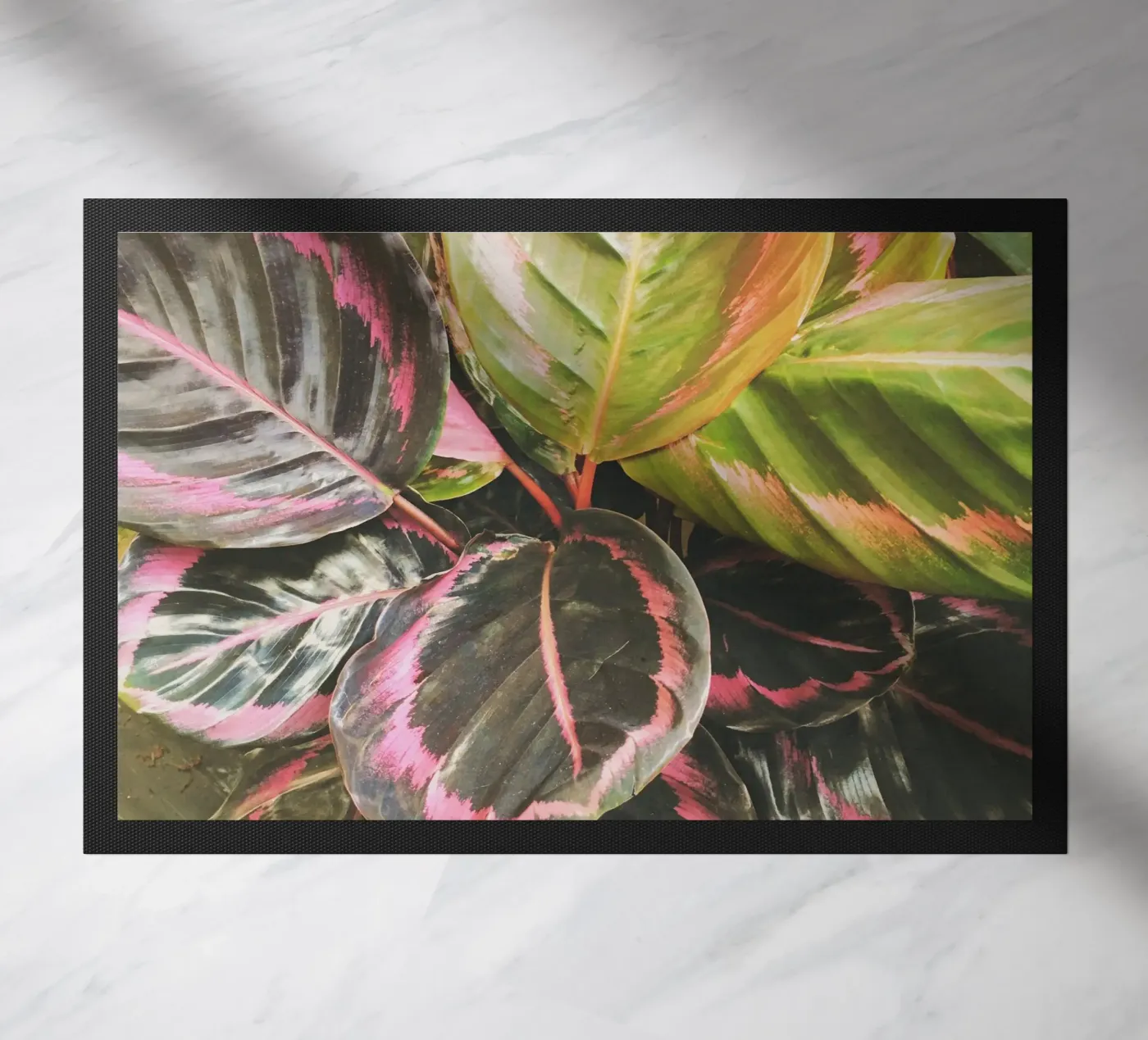 Leafy paillasson de Cassia Beck Photography