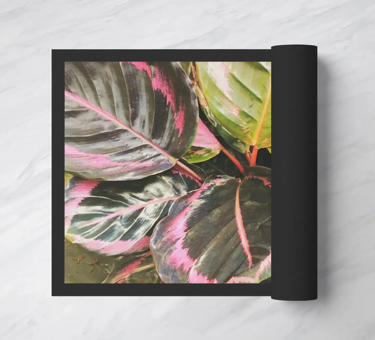 Leafy doormat by Cassia Beck Photography