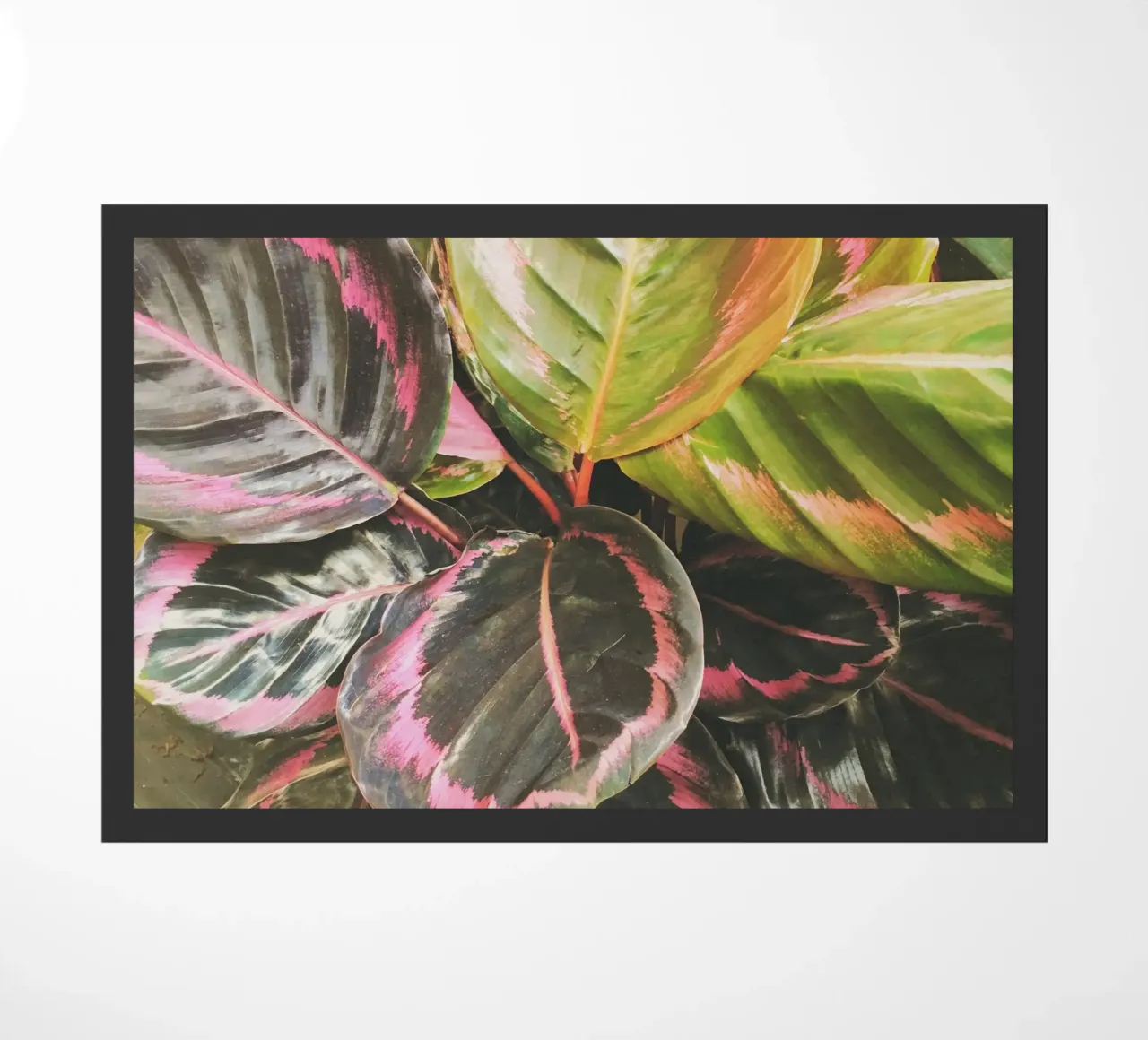 Leafy doormat by Cassia Beck Photography