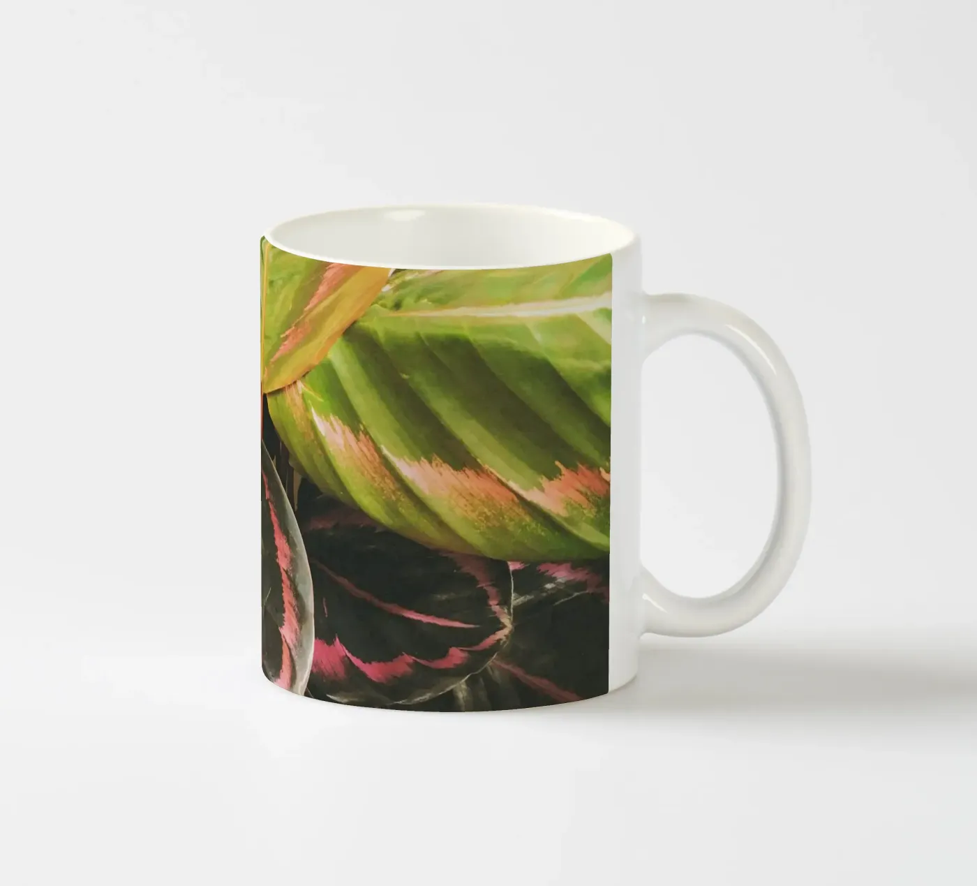 Leafy ceramic mug by Cassia Beck Photography