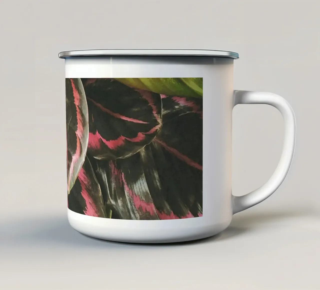 Foglioso tazza in smalto da Cassia Beck Photography