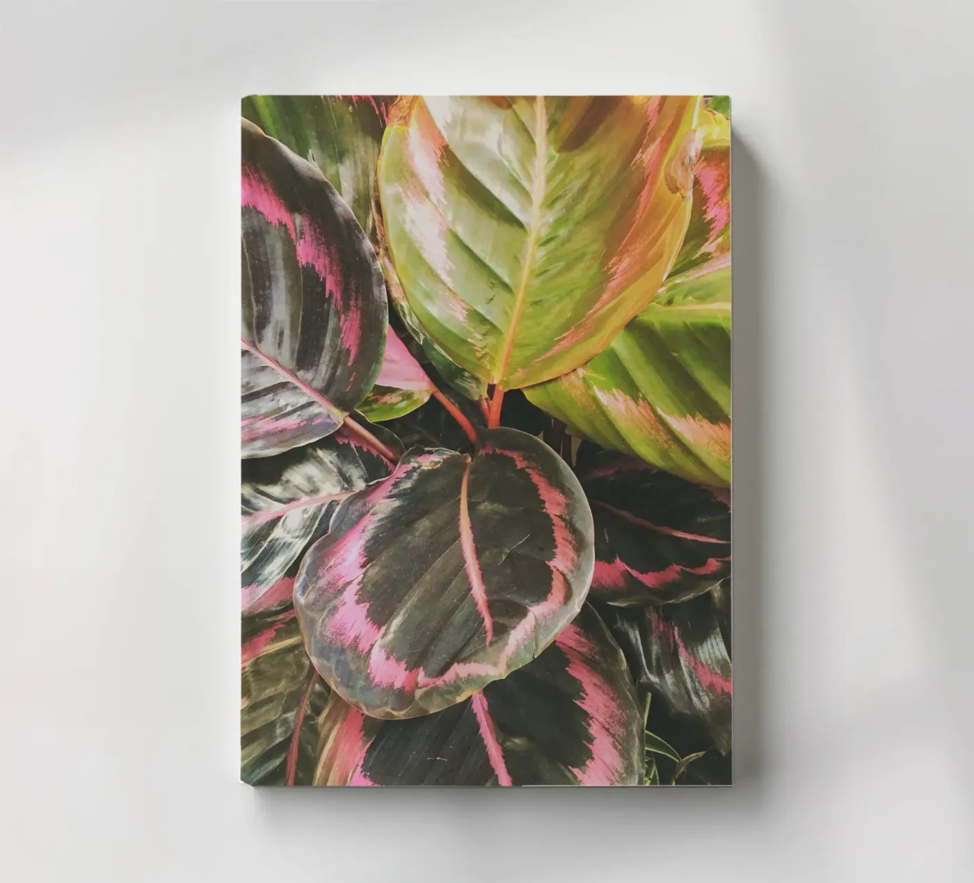 Leafy notebook by Cassia Beck Photography