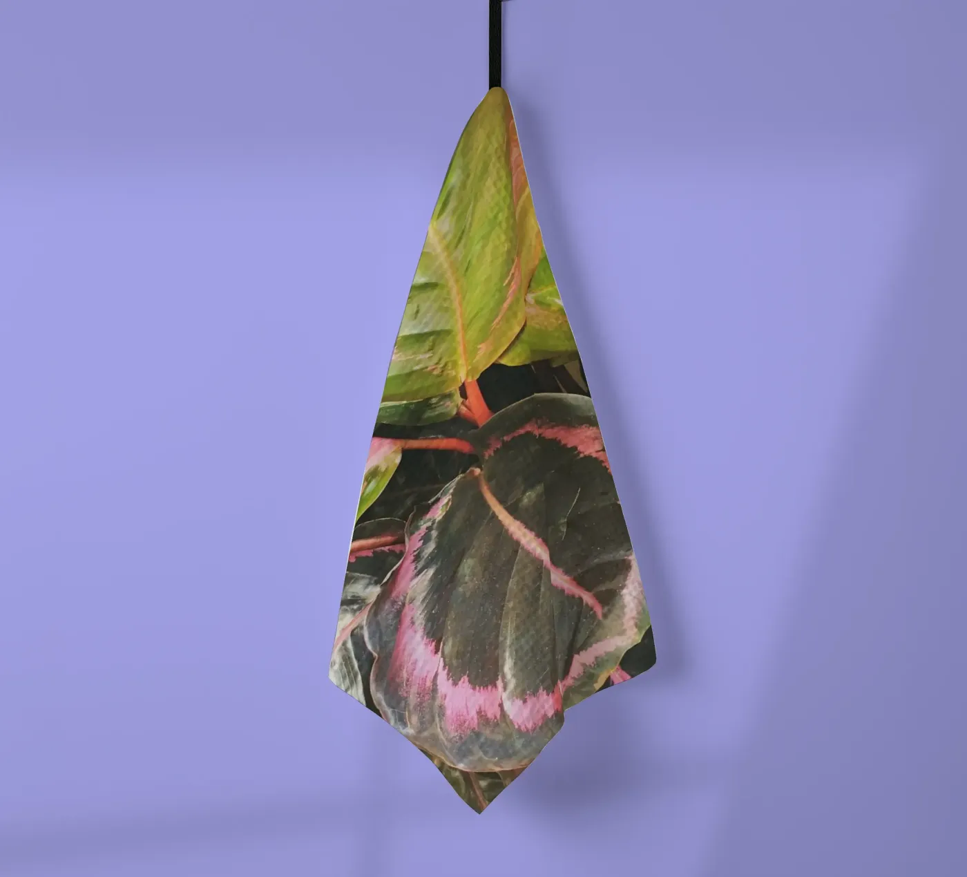 Feuilles torchon de Cassia Beck Photography