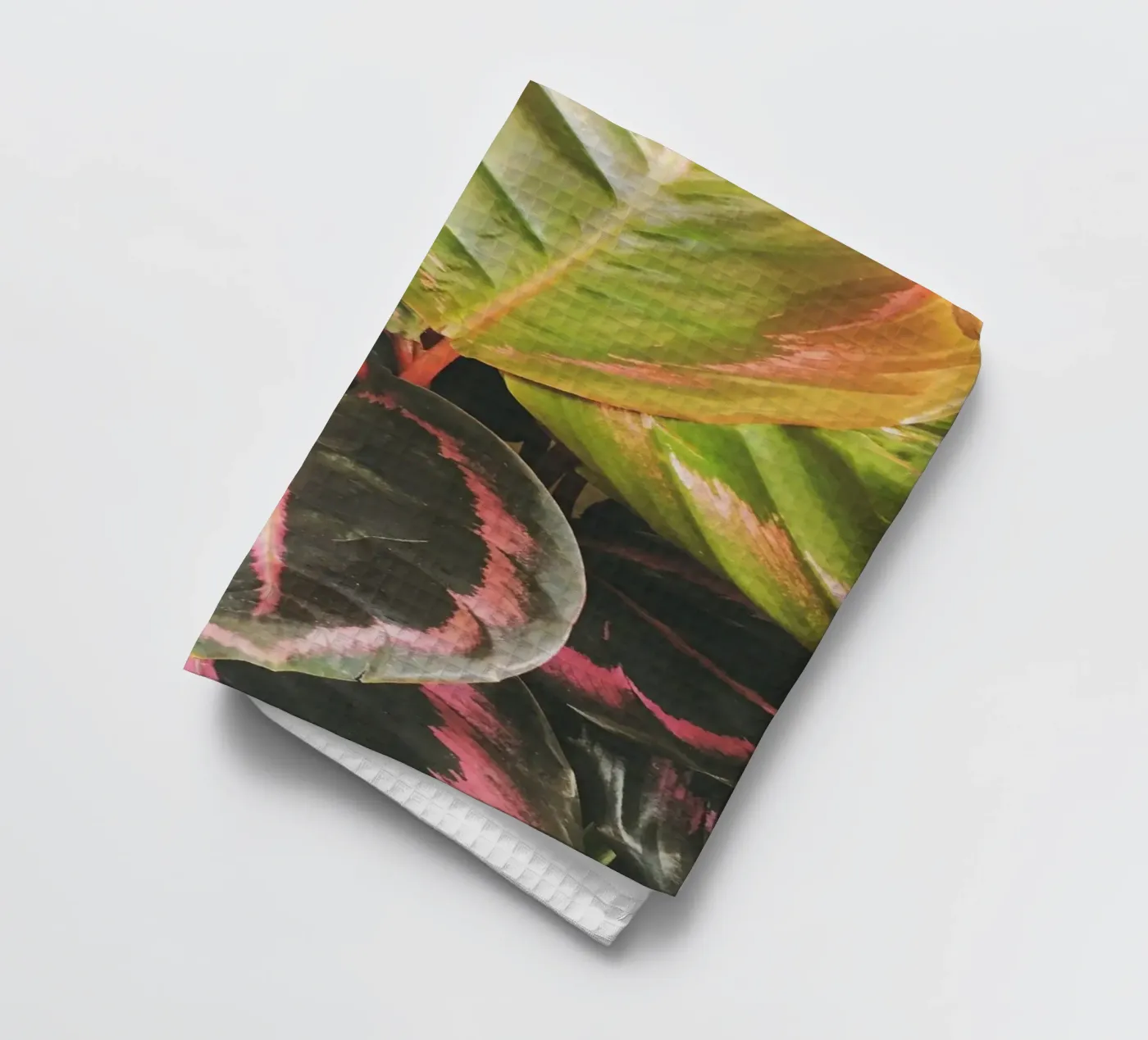 Feuilles torchon de Cassia Beck Photography