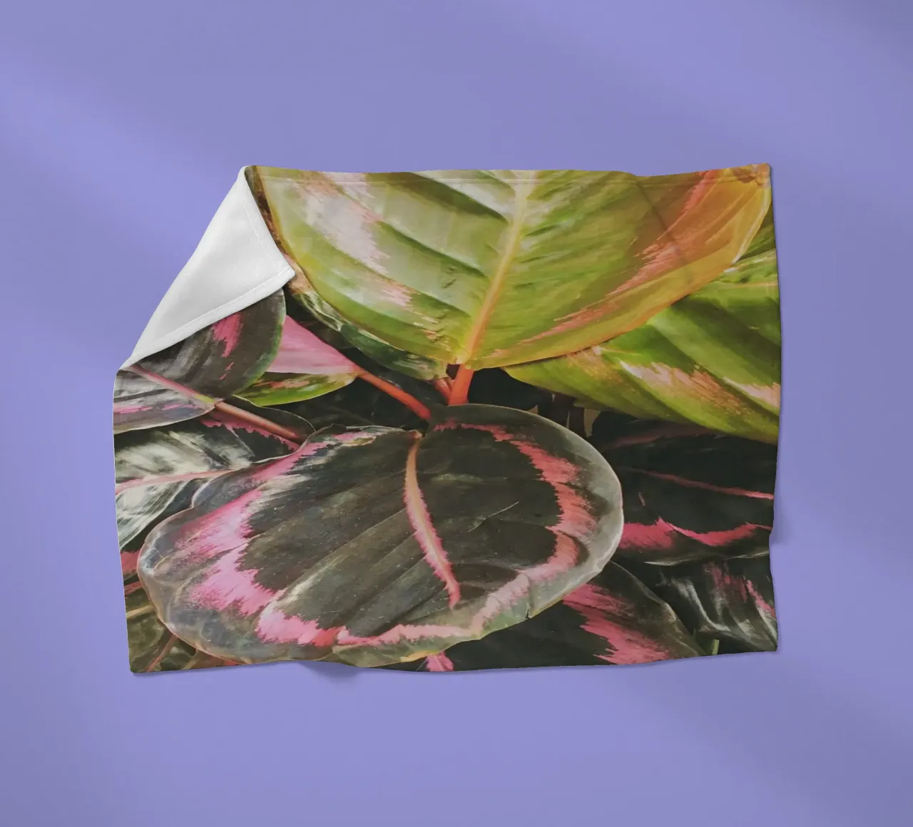 Leafy Fleecedecke von Cassia Beck Photography