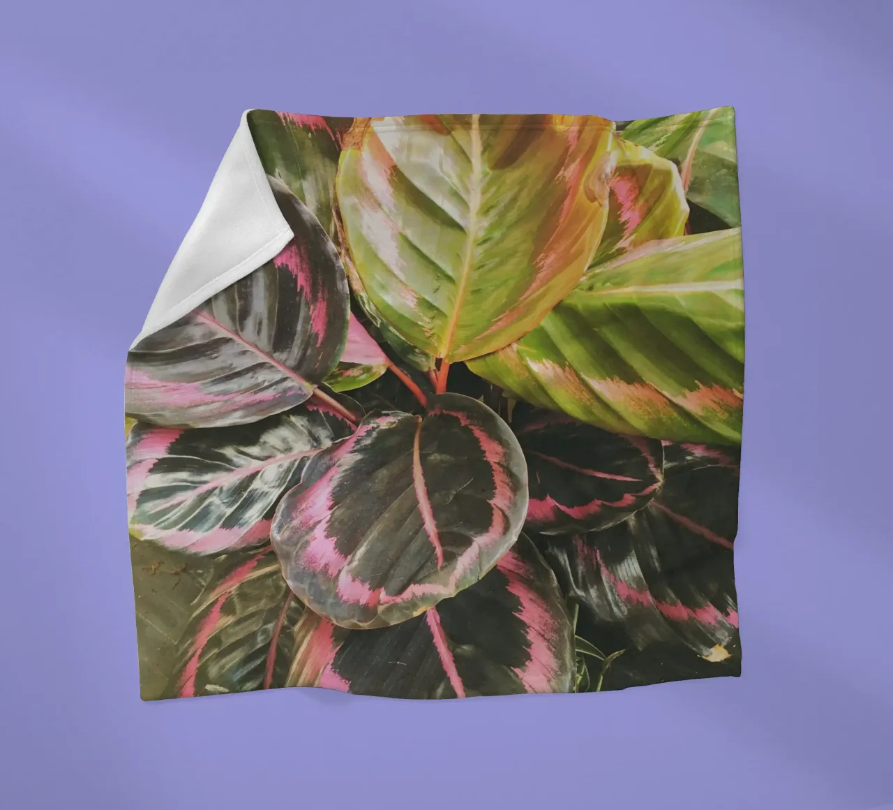 Leafy Fleecedecke von Cassia Beck Photography