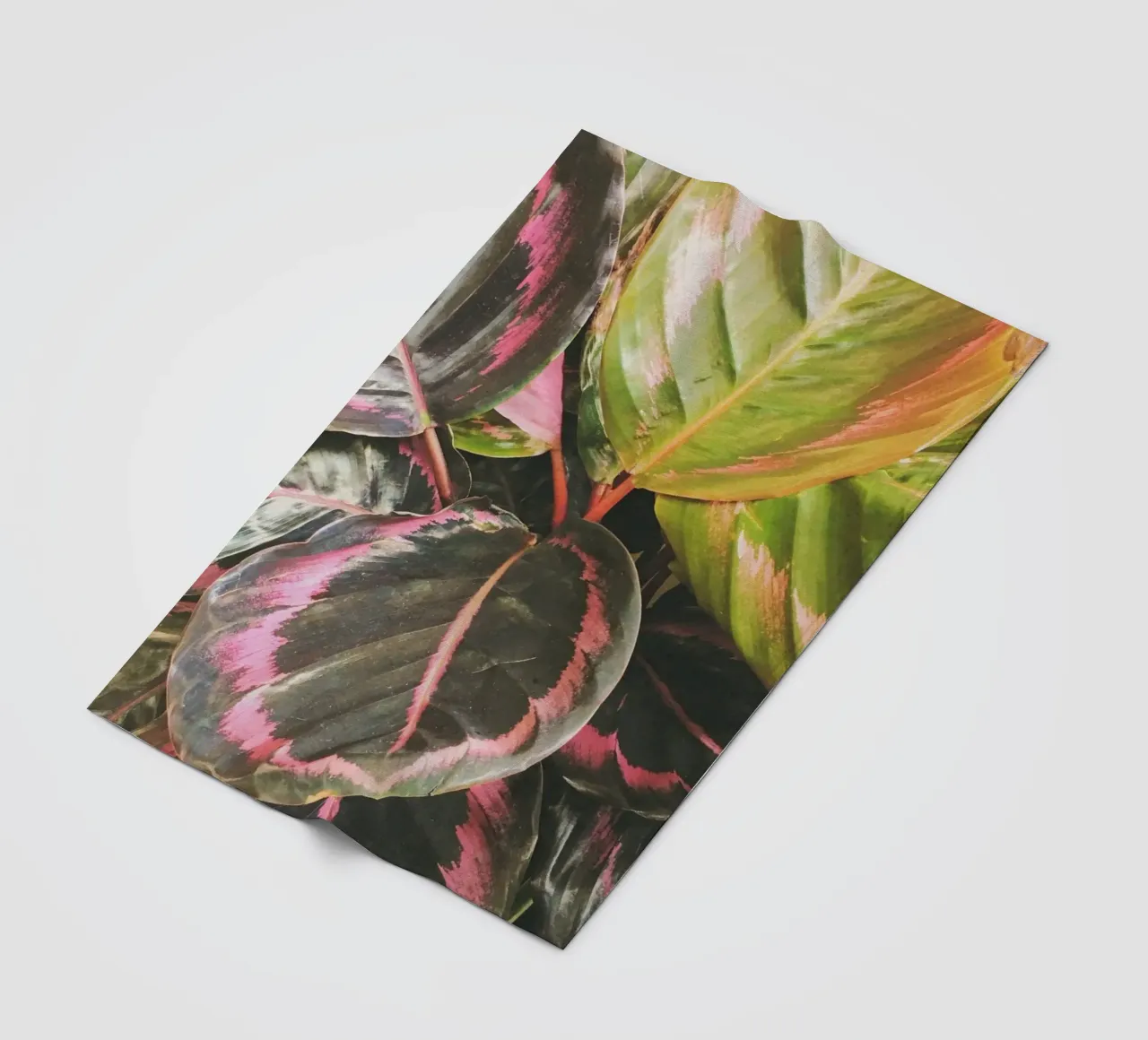 Leafy Fleecedecke von Cassia Beck Photography