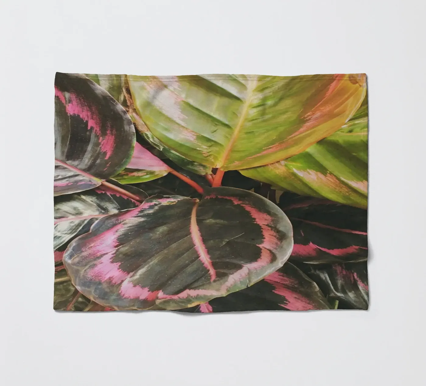 Bladrijk fleecedeken van Cassia Beck Photography