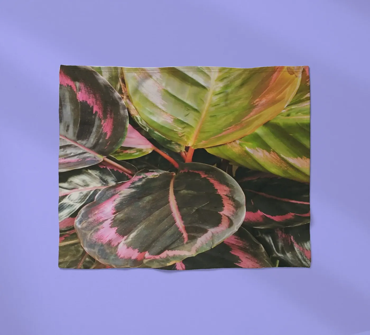 Bladrijk fleecedeken van Cassia Beck Photography