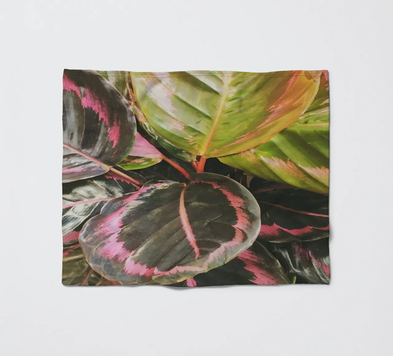 Leafy Fleecedecke von Cassia Beck Photography