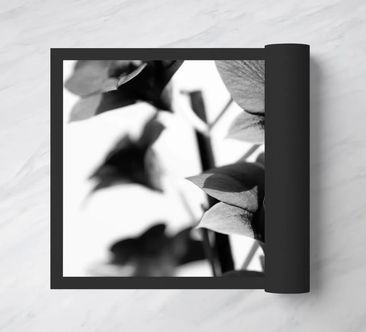 Flora #12 zerbino da rafael campezato