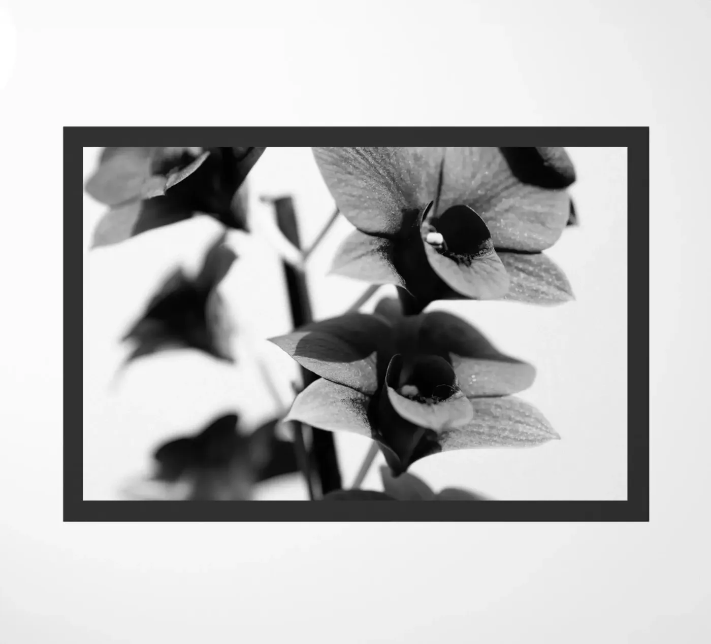 Flora #12 doormat by rafael campezato