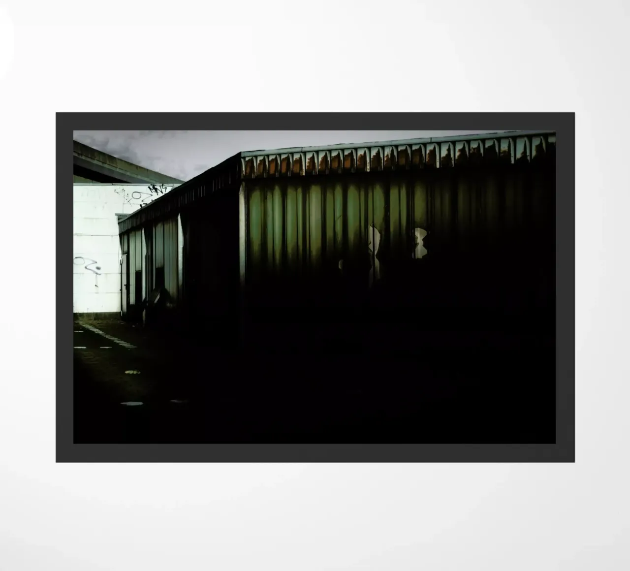 DSC6665 zerbino da Dustin Janko