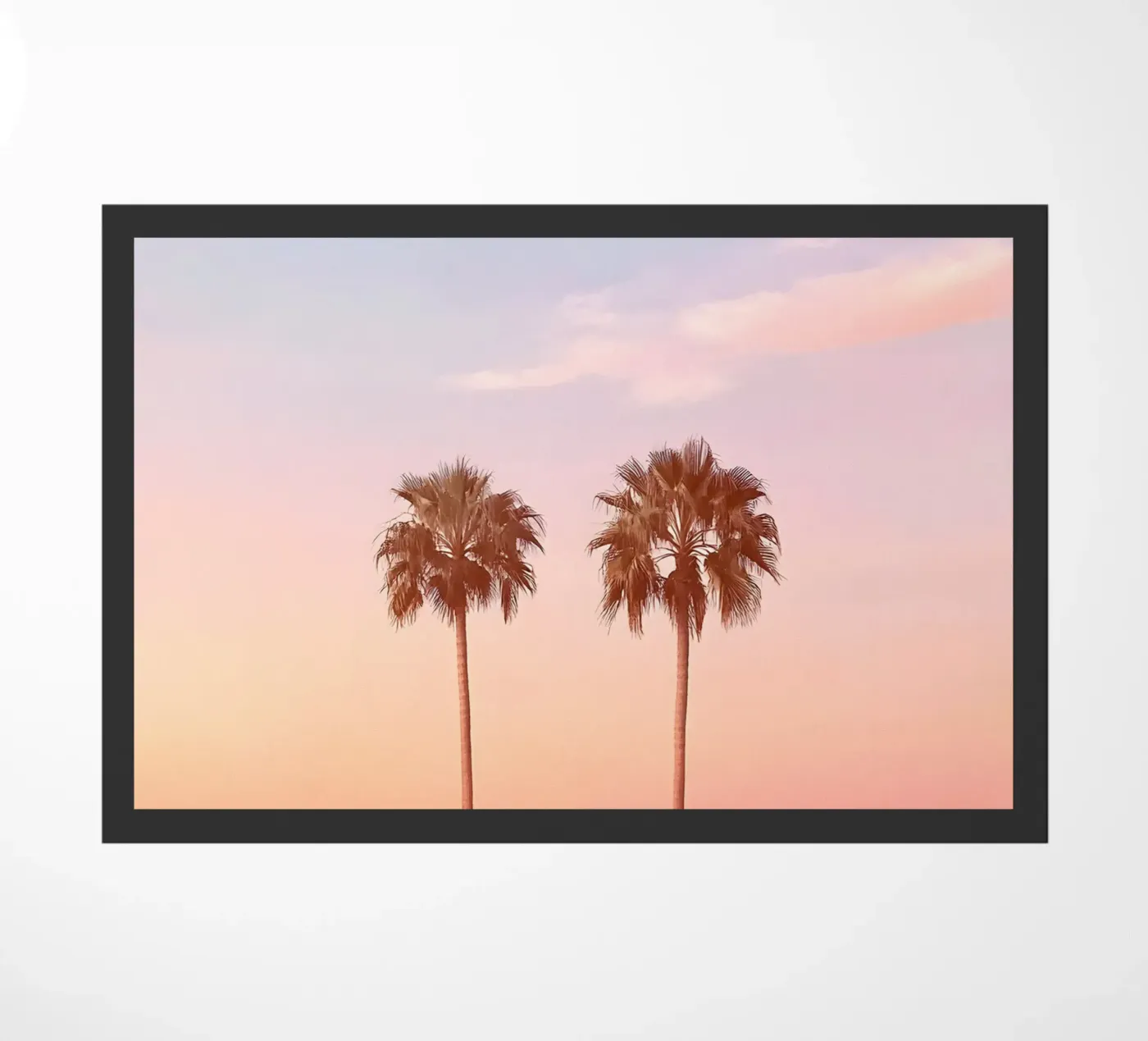 The Palmtrees zerbino da Gypsy Galleria