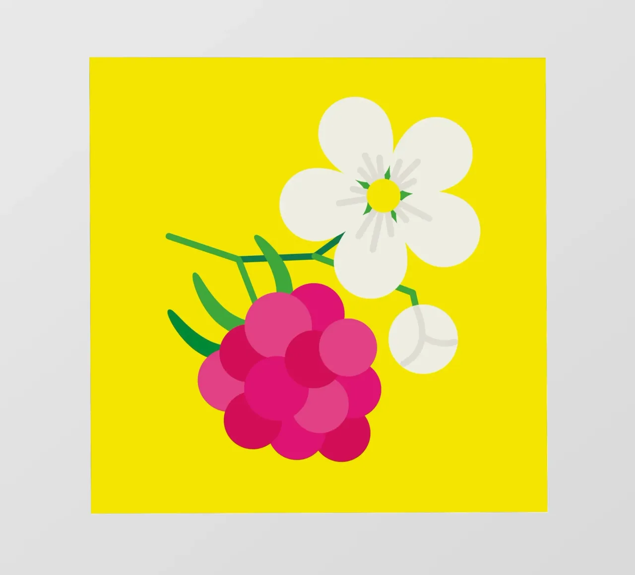 Raspberry backlit folie van Lidia Blomgren