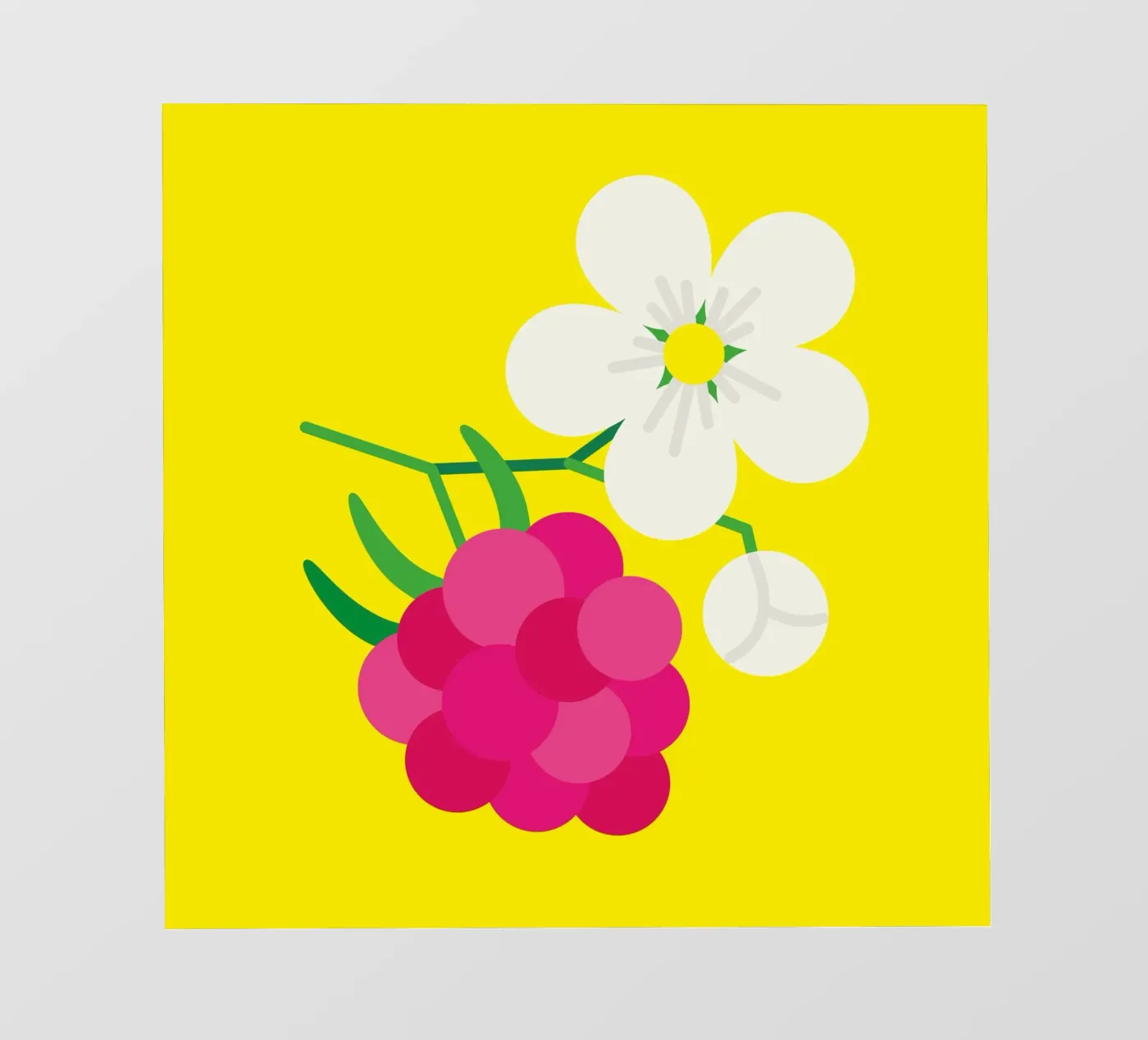 Raspberry pellicola backlit da Lidia Blomgren