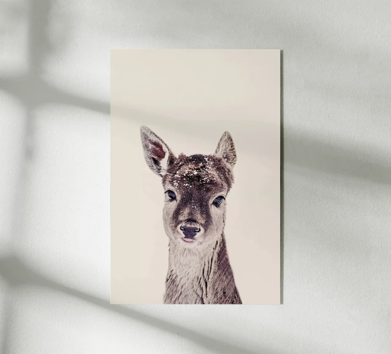 Fawn Rose plexiglass da Monika Strigel