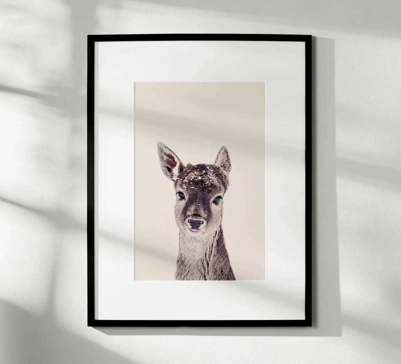 Fawn Rose poster da Monika Strigel