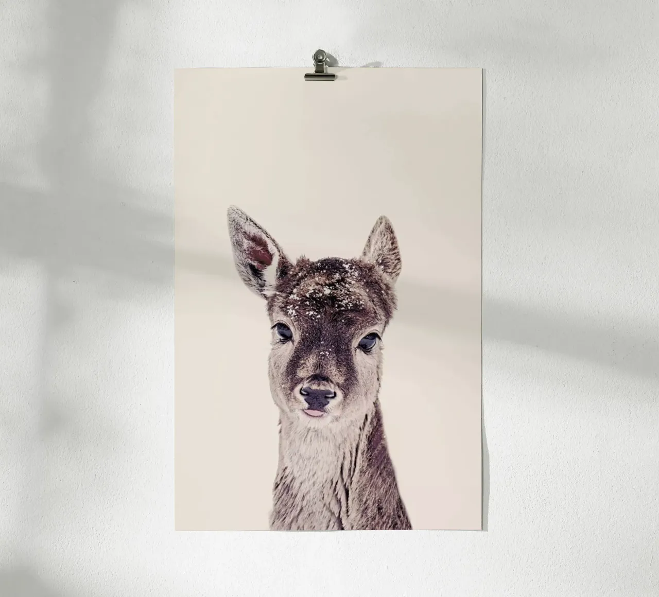 Fawn Rose poster da Monika Strigel