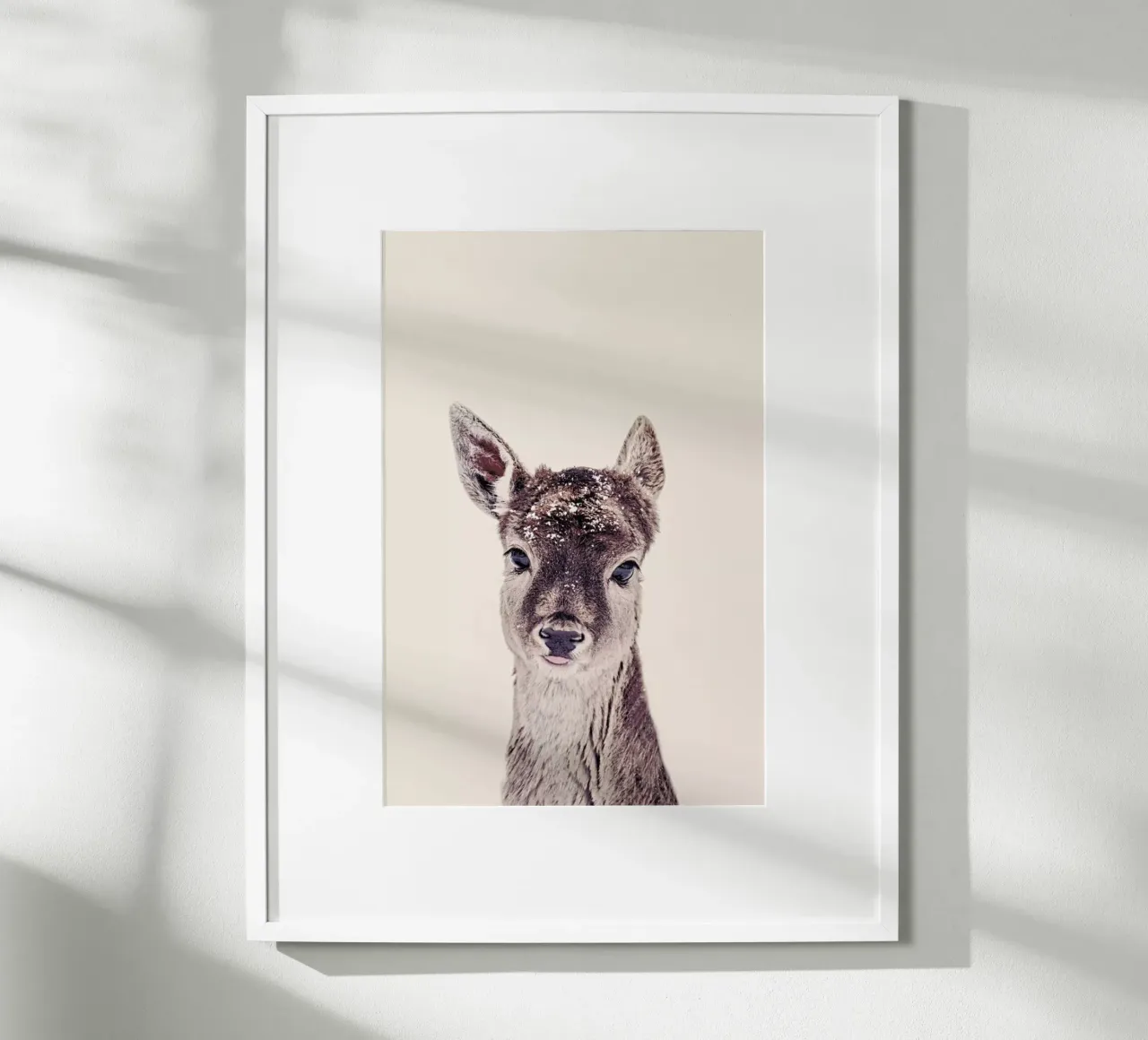 Fawn Rose poster da Monika Strigel