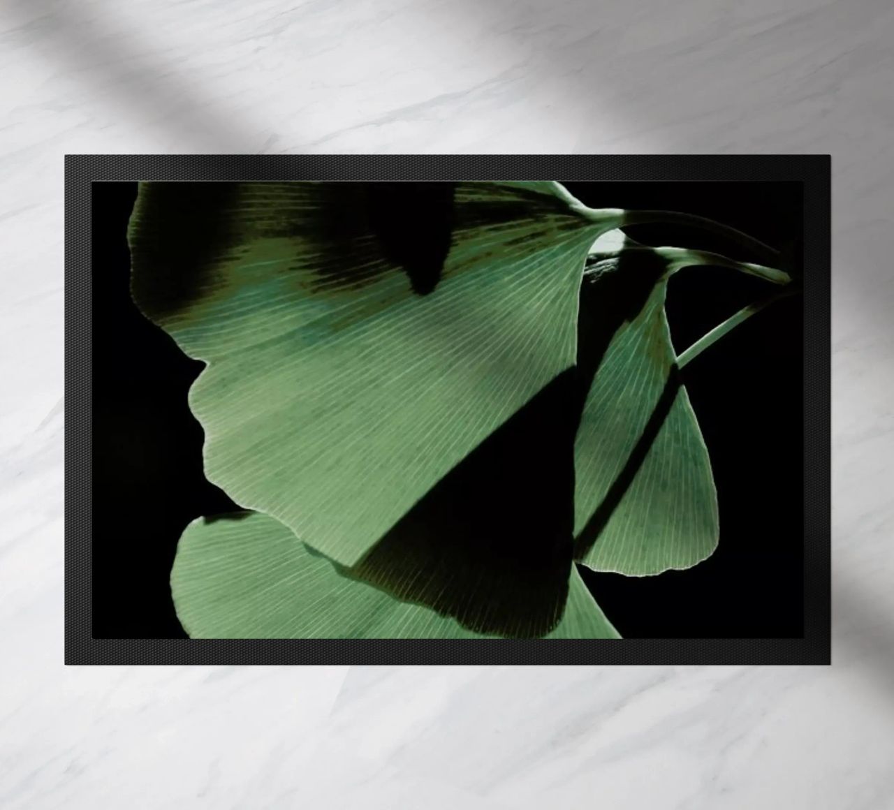 Ginkgo 03 zerbino da Froilein Juno