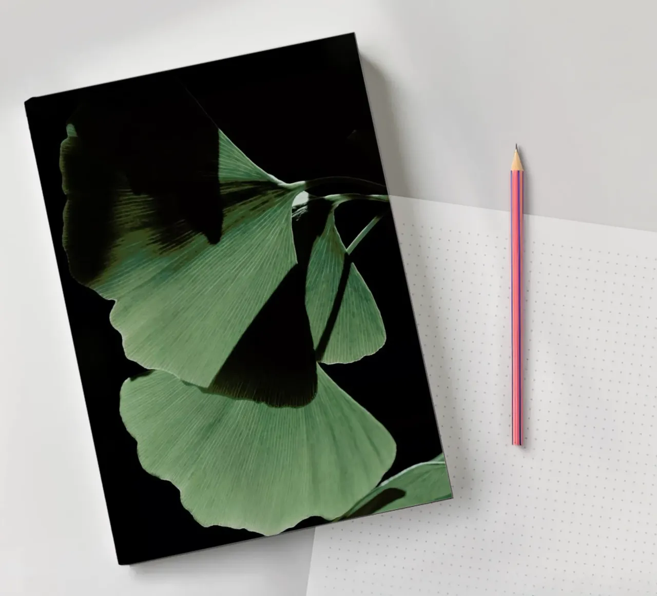Ginkgo 03 diario da Froilein Juno